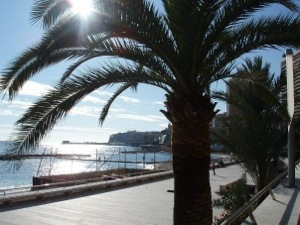 The marina in Monte-Carlo